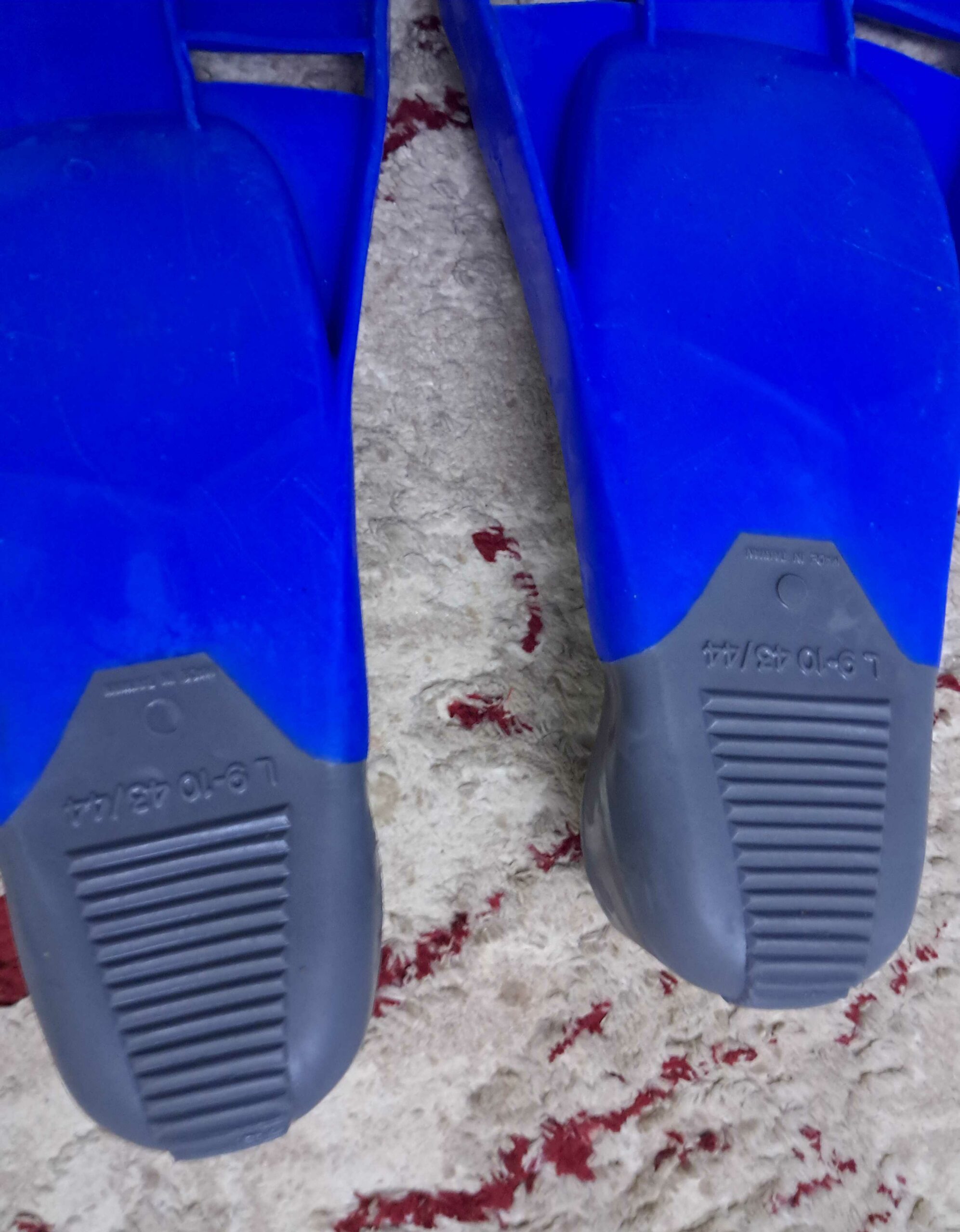 زعانف سباحه او غوص