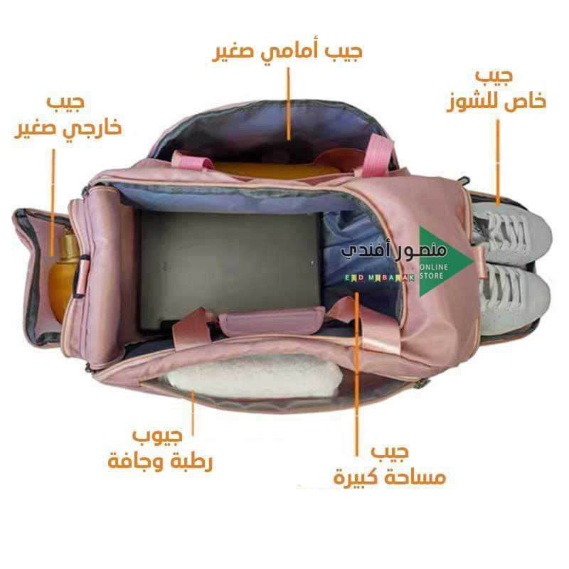 مصر الاسكندرية العجمي