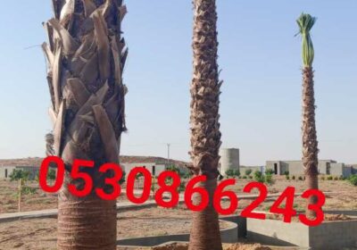 66f47339-79ea-439c-b776-8683060cfb7e