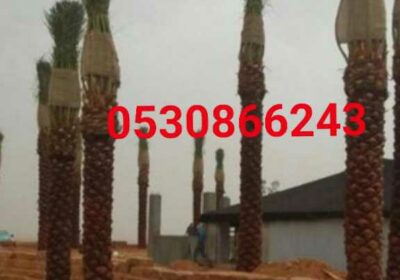 c5ec2d13-abc5-4bad-8a1e-9584f4cf2495