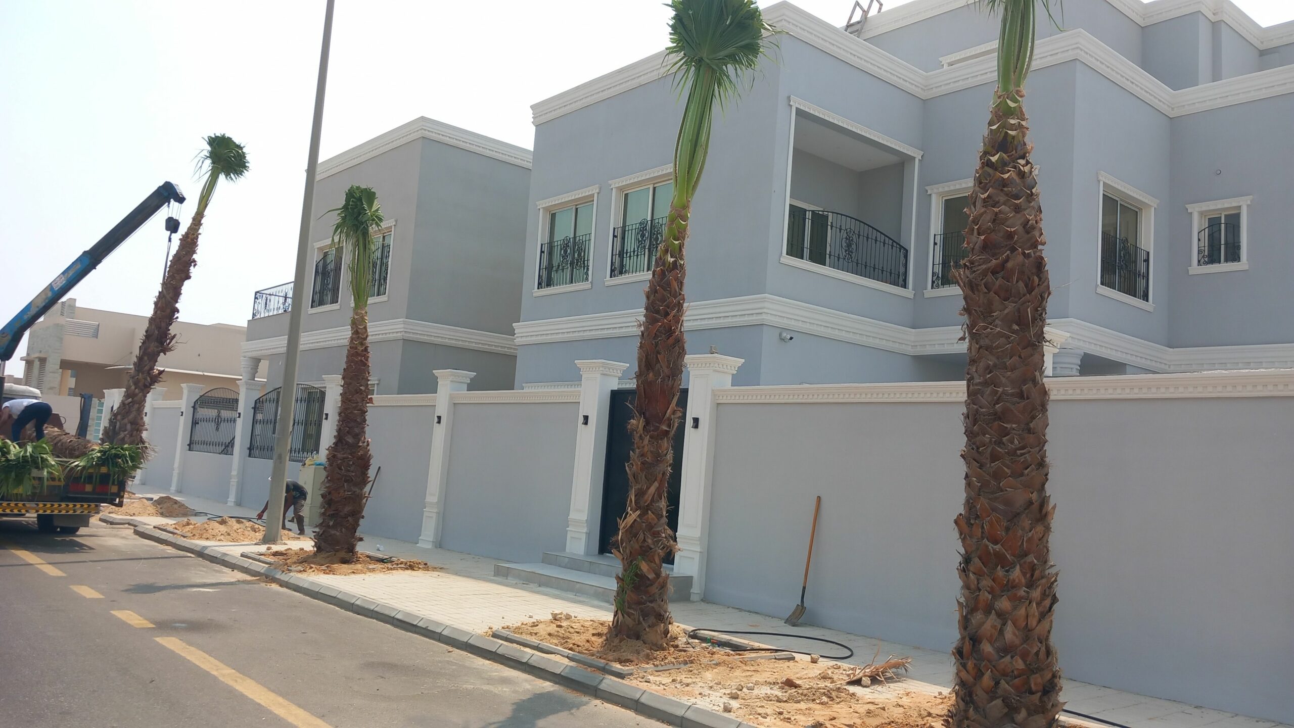 تنسيق حدائق