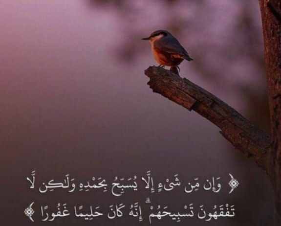 ترهيم تضليل تنجيد السيارات