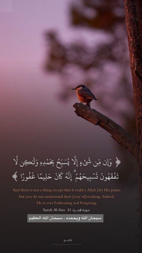 ترهيم تضليل تنجيد السيارات