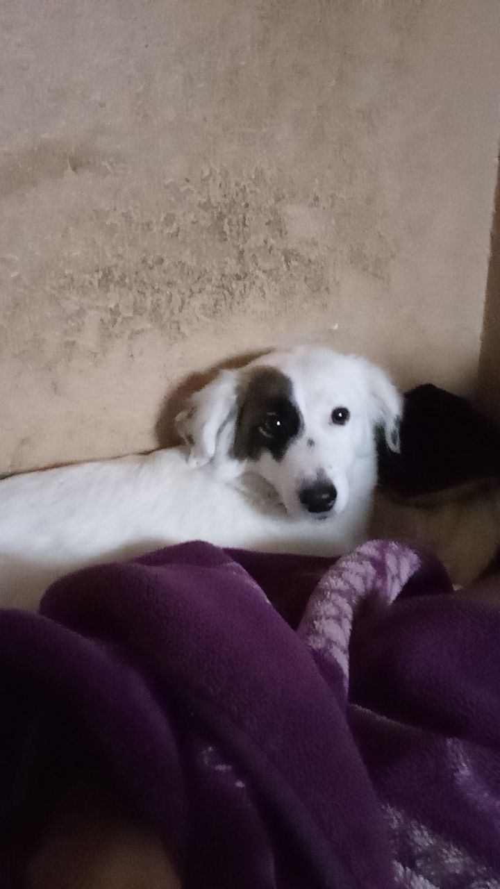 الرياض شرق الرياض