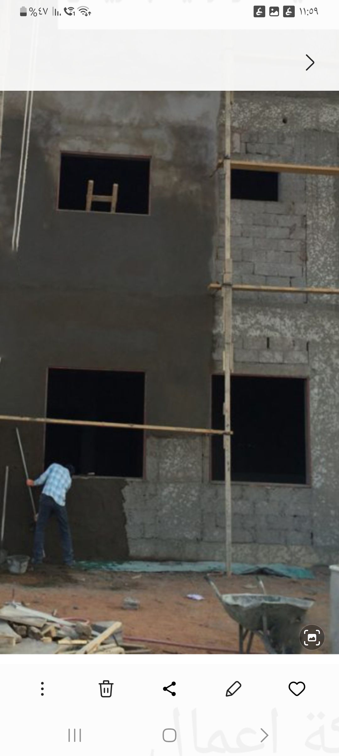 الرياض ام الحمام