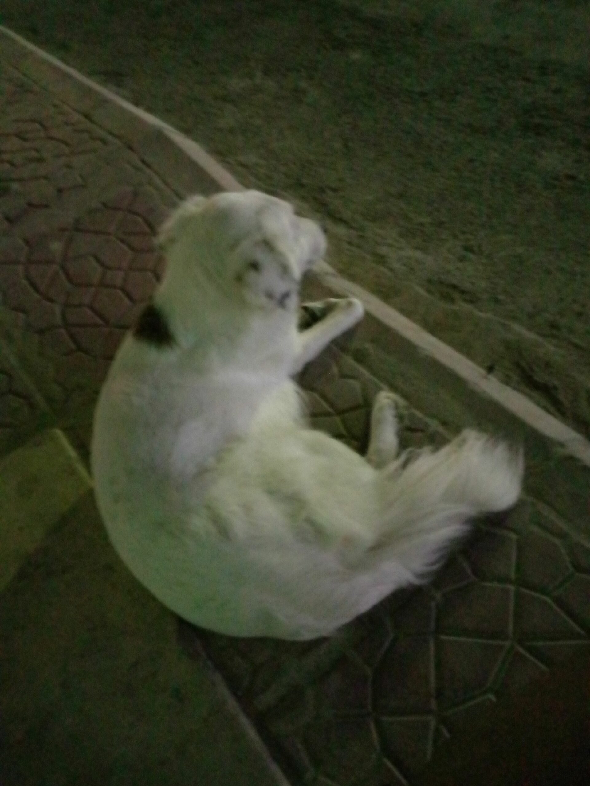 الرياض شرق الرياض