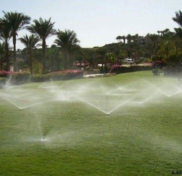 قص وخلع النخيل والاشجار ٠٥٦٣٩٣٤٥٧١