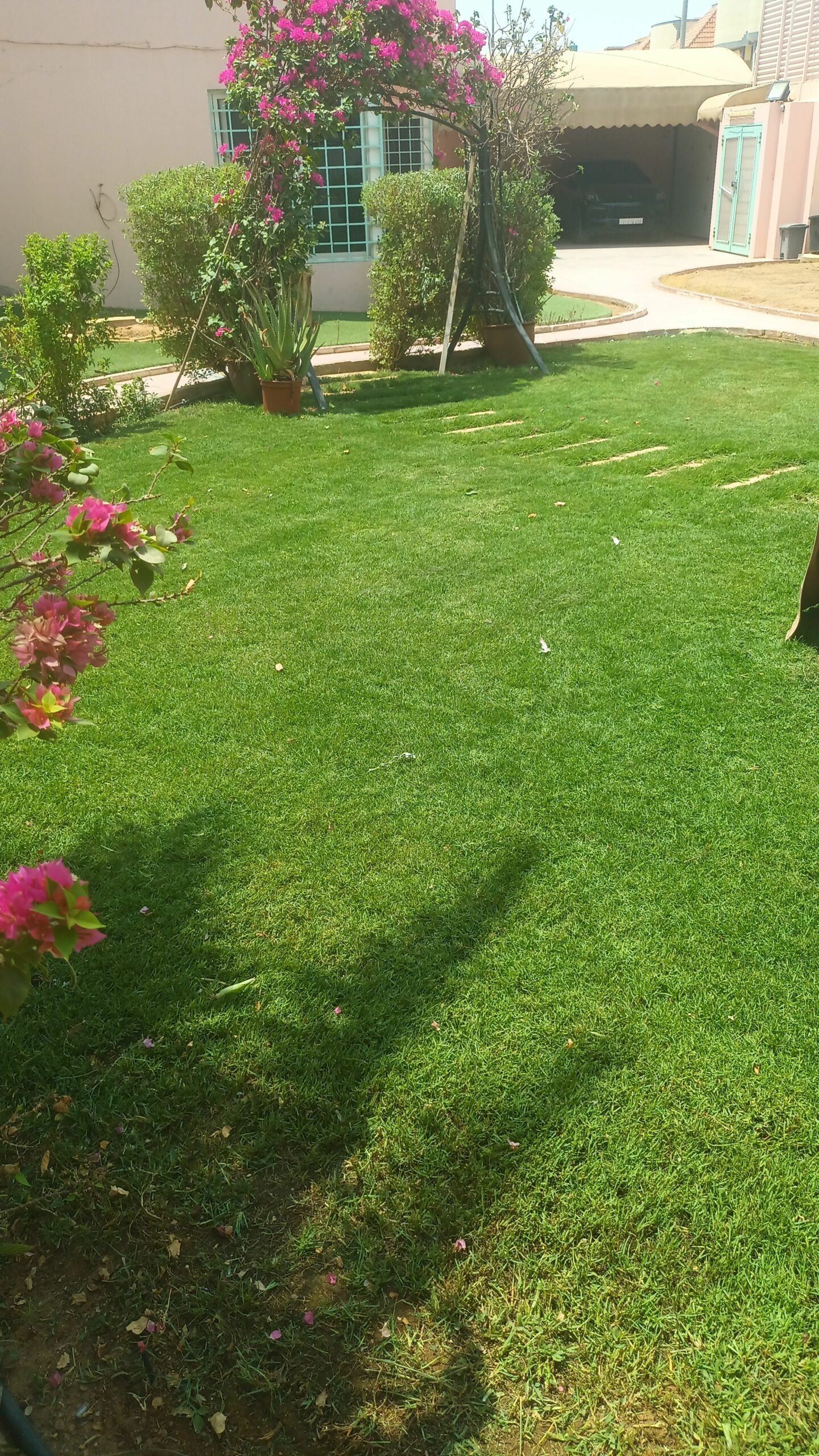 مشتل تنسيق الحدائق وقص وخلع النخيل والاشجار