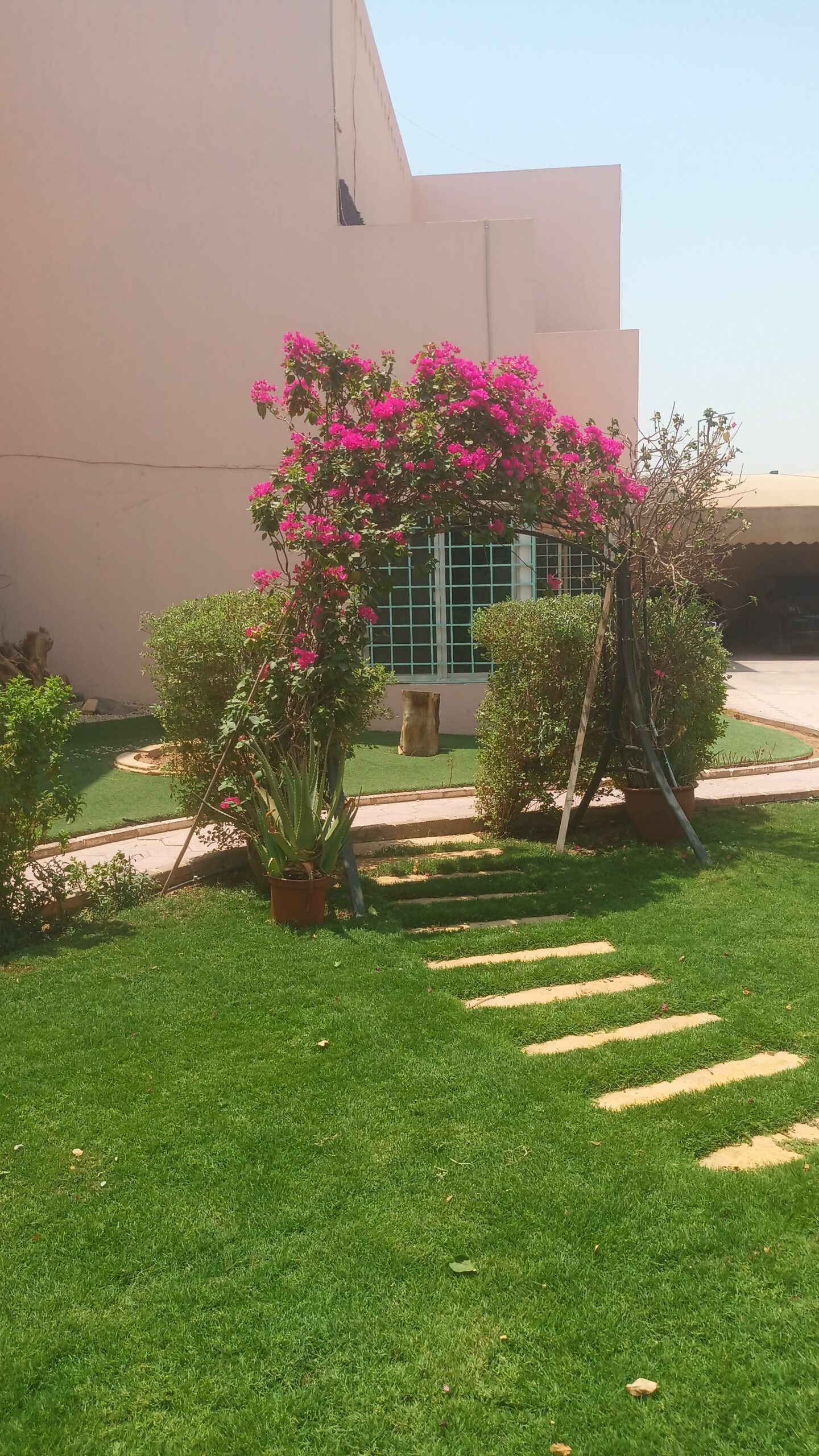 قص وخلع النخيل والاشجار ٠٥٦٣٩٣٤٥٧١