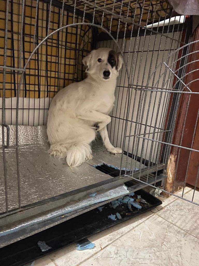 الرياض شرق الرياض