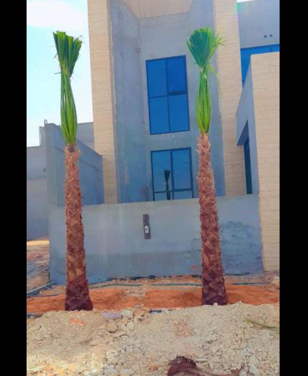 مشتل تنسيق الحدائق وقص وخلع النخيل والاشجار