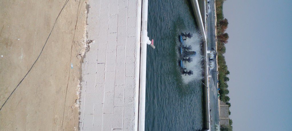 مقاولات عامه وترميم وصيانه