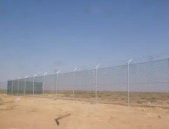 مقاول شبوك ونخل عربي وواشنطن