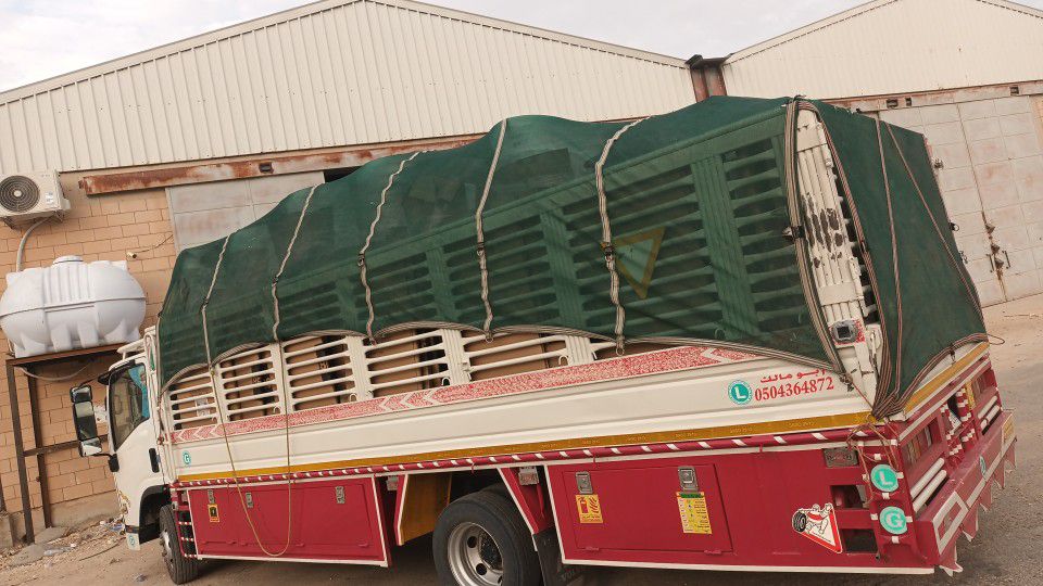 دينا ٦متر مشاوير داخل وخارج الرياض