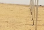 الجله