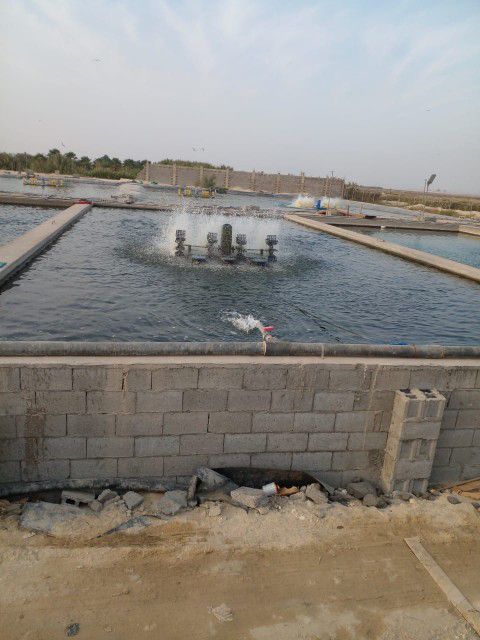 مقاولات عامه وترميم وصيانه