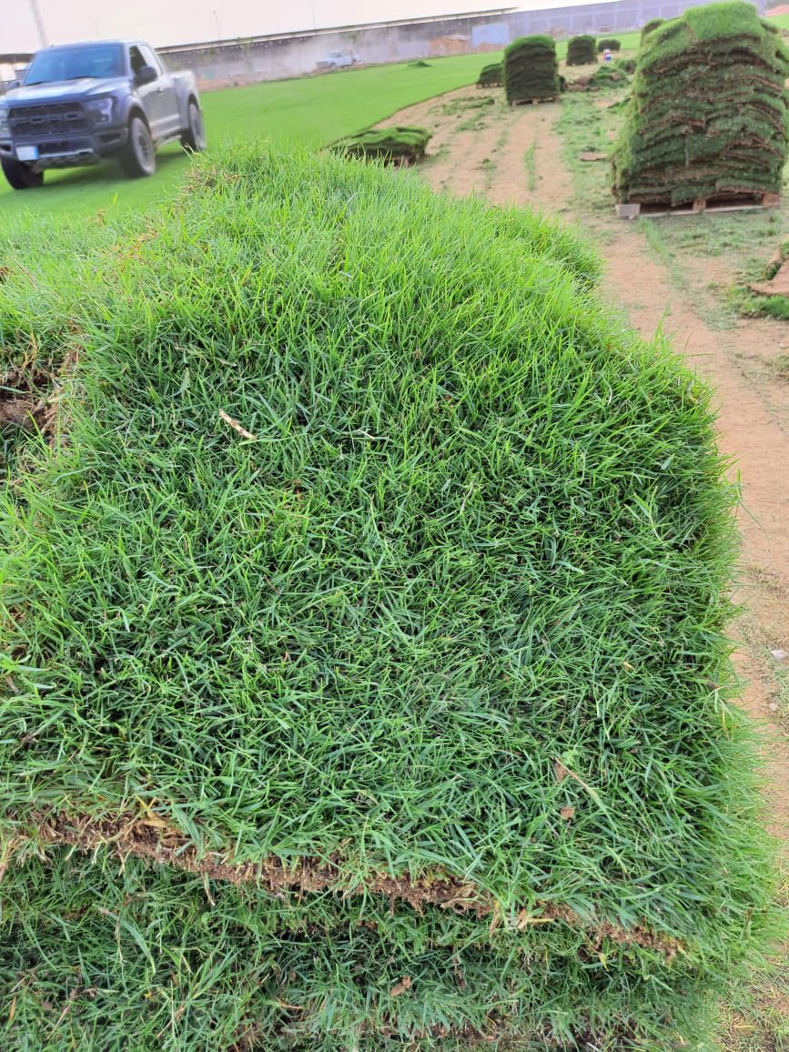 مقاولات عامه وترميم وصيانه