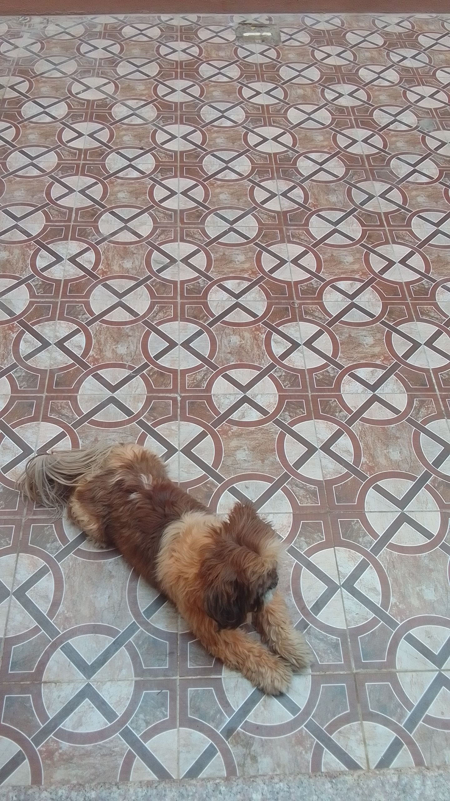 الخميس مشيط