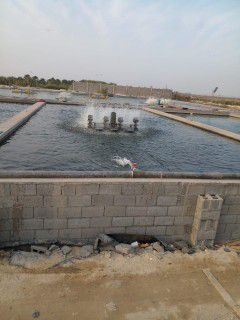 مقاولات عامه