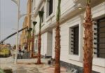 ابوجهاد لتوريد النخيل وزراعته