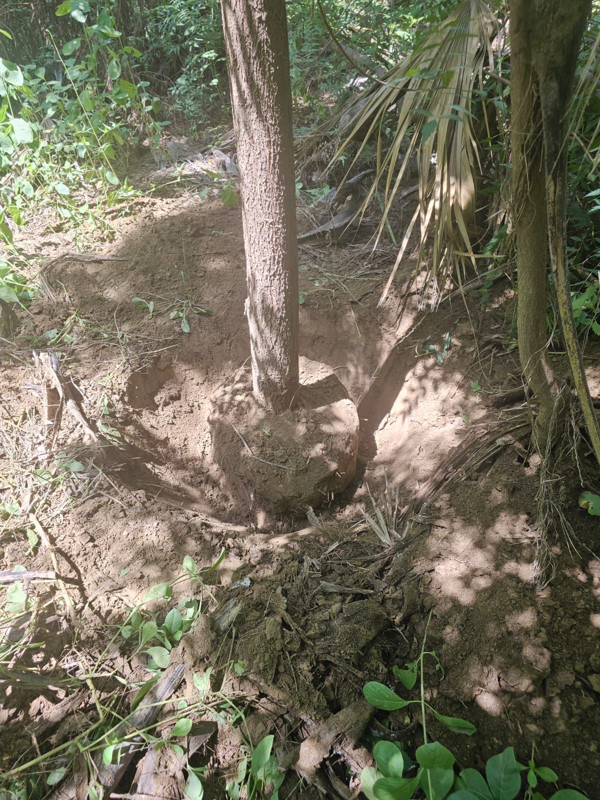 الرياض مخرج 9