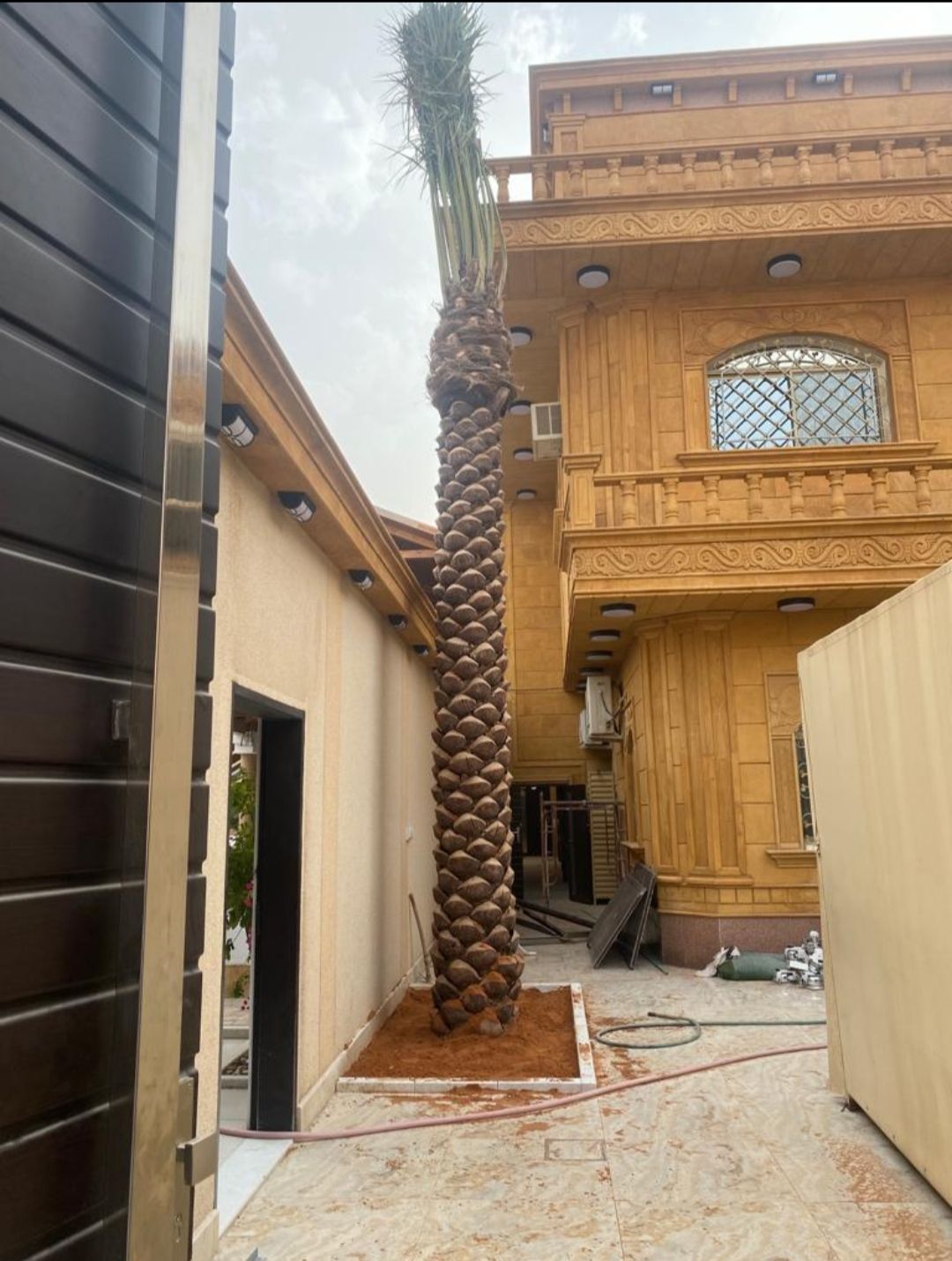 يجدلدينا نخيل عربي وواشنطني نقوم بتوريد انخيل ازينه والمثمر وزراعته اتوصيل الاجميع مناطق المملكه لتواصل0537652601