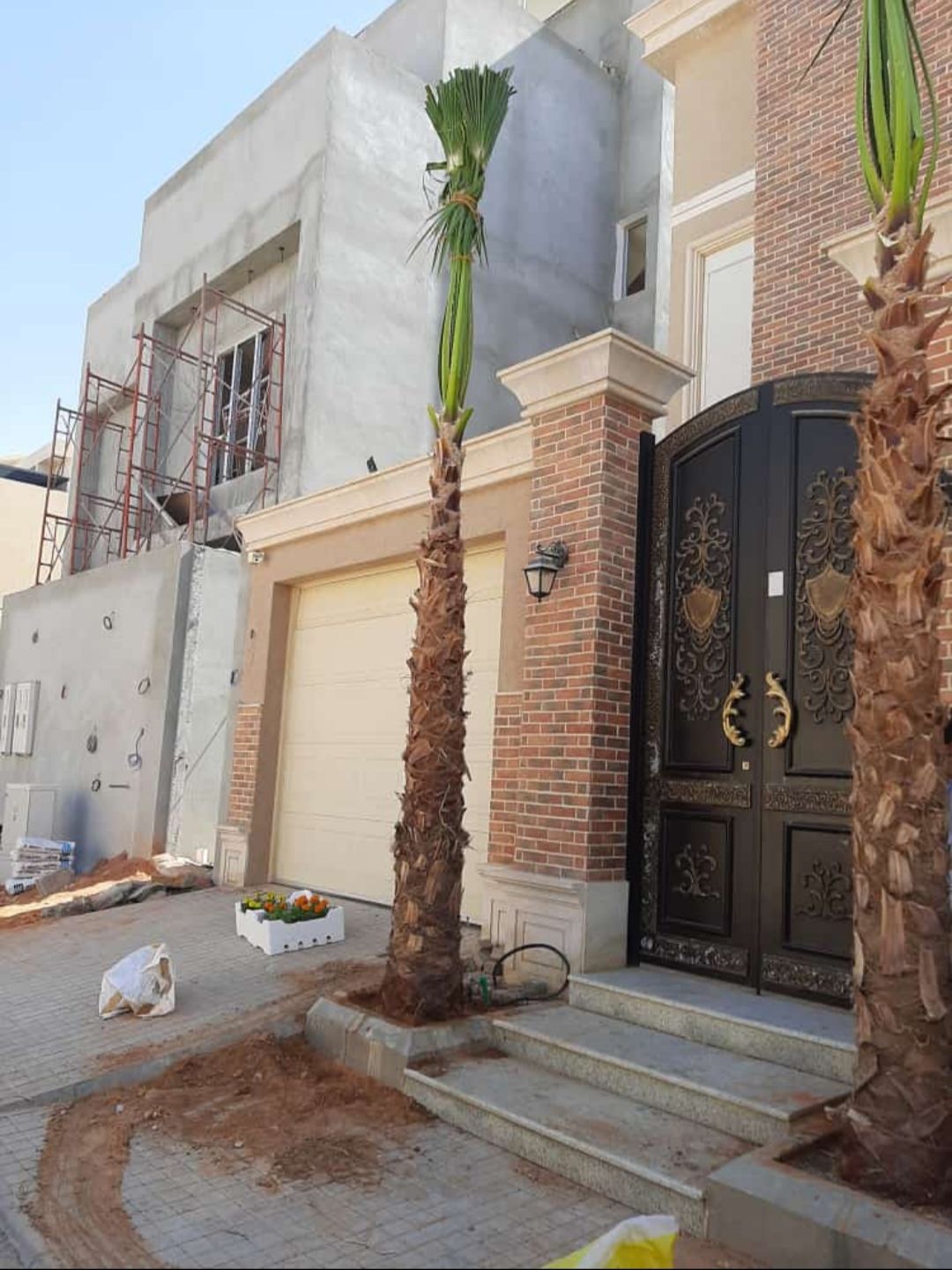 يجدلدينا نخيل عربي وواشنطني نقوم بتوريد انخيل ازينه والمثمر وزراعته اتوصيل الاجميع مناطق المملكه لتواصل0537652601