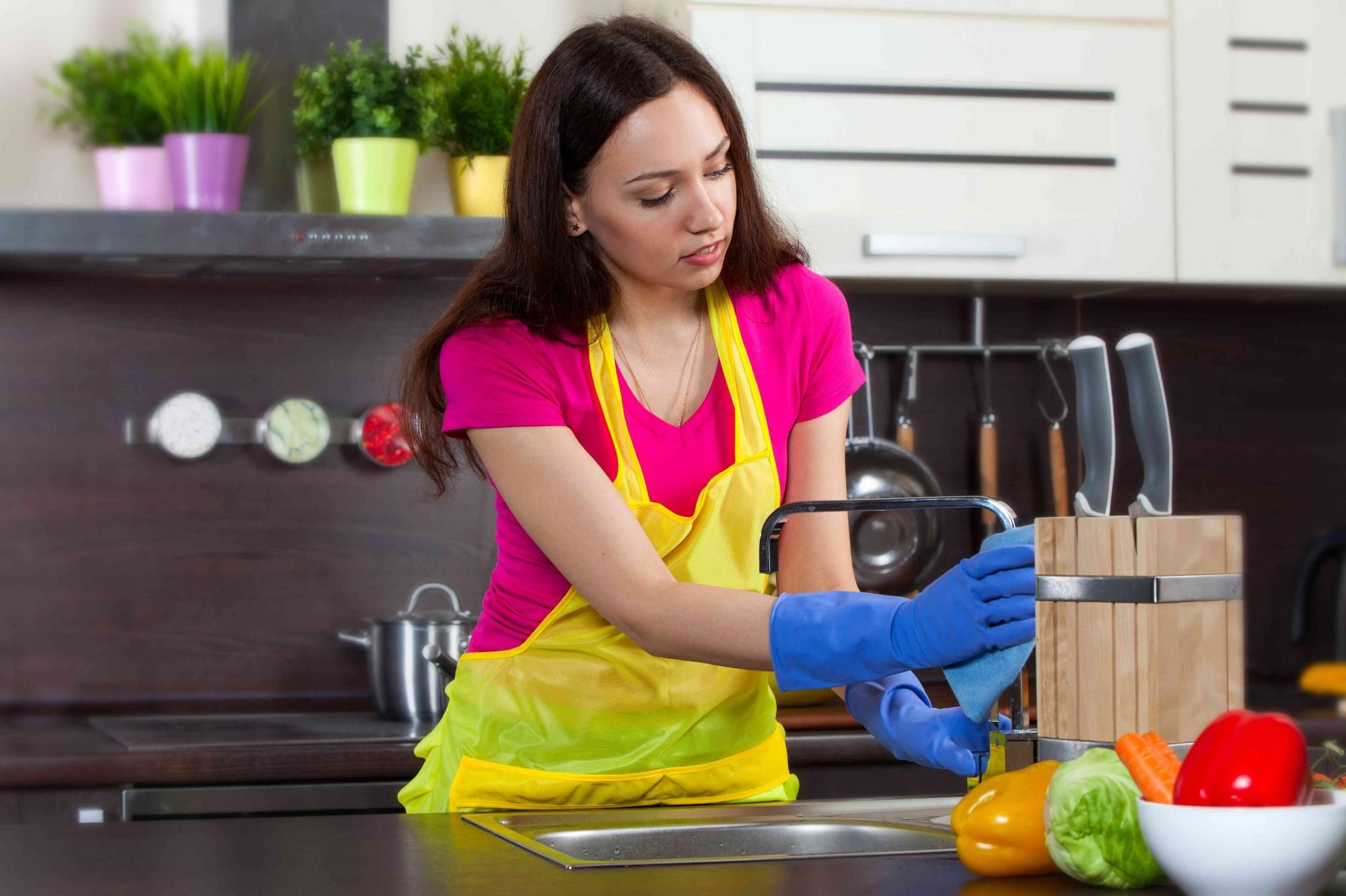 Lidia cleaning services