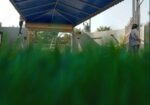 الاحساء الهفوف
