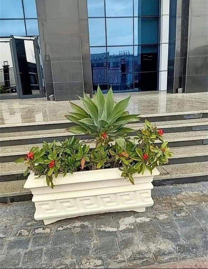 المروج شارع ابن سينا