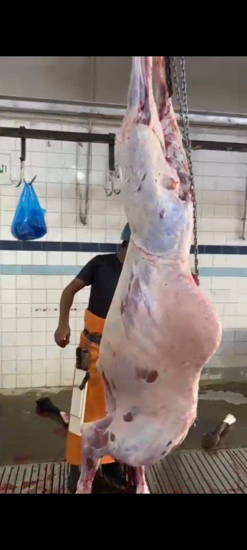 حاشي لباني فاخر للبيع بربع والثمن ماعندي بالكيلو