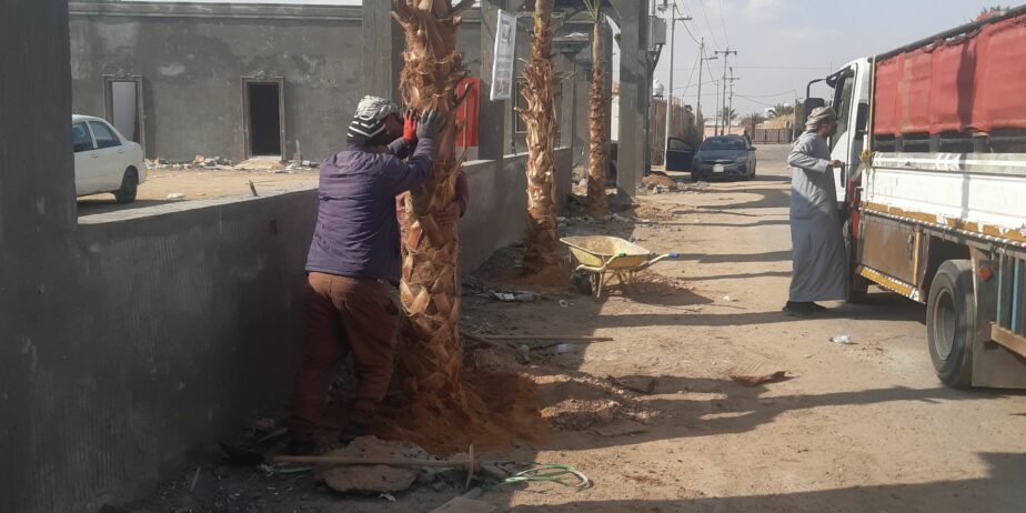 يوجد لدينا نخيل عربي وشنطن ورش مبيد حشرات واعمال الشبوك