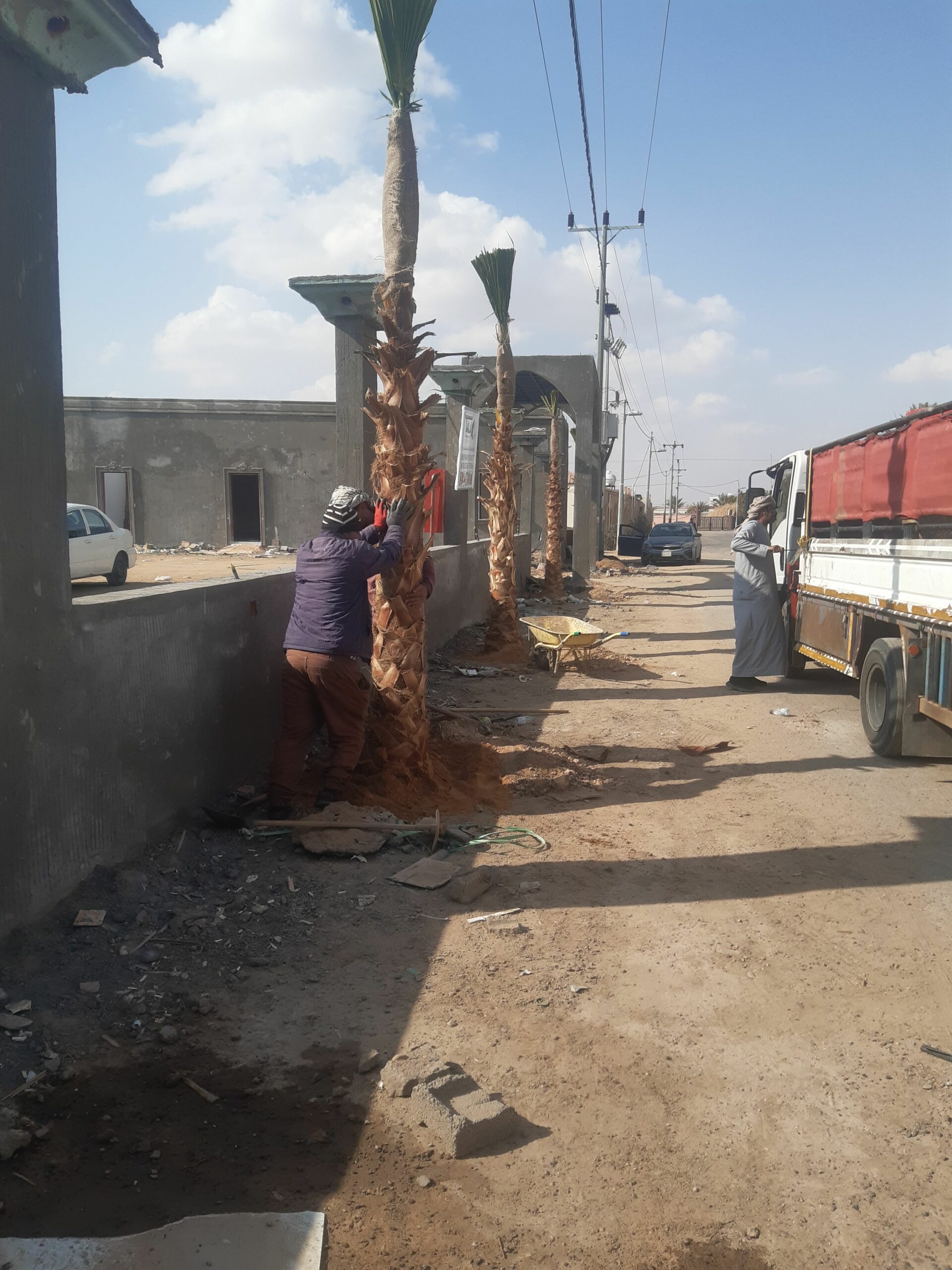 يوجد لدينا نخيل عربي وشنطن ورش مبيد حشرات واعمال الشبوك