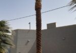 0552961673