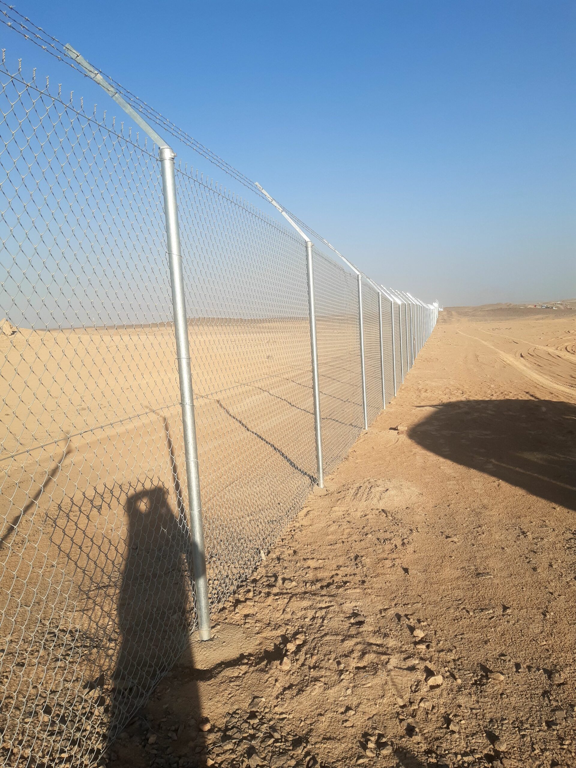 يوجد لدينا نخيل عربي وشنطن ورش مبيد حشرات واعمال الشبوك