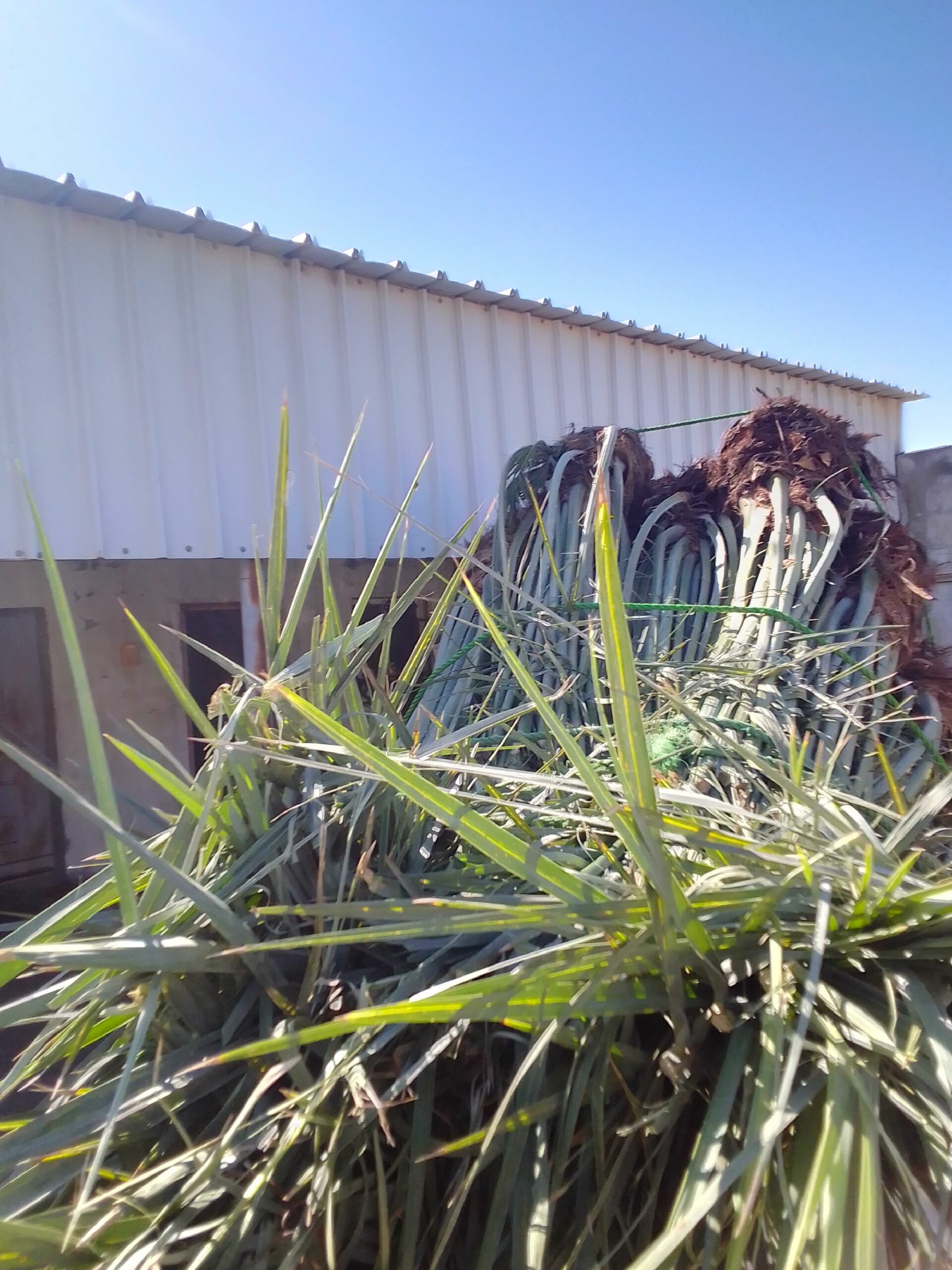 مكه المكرمه