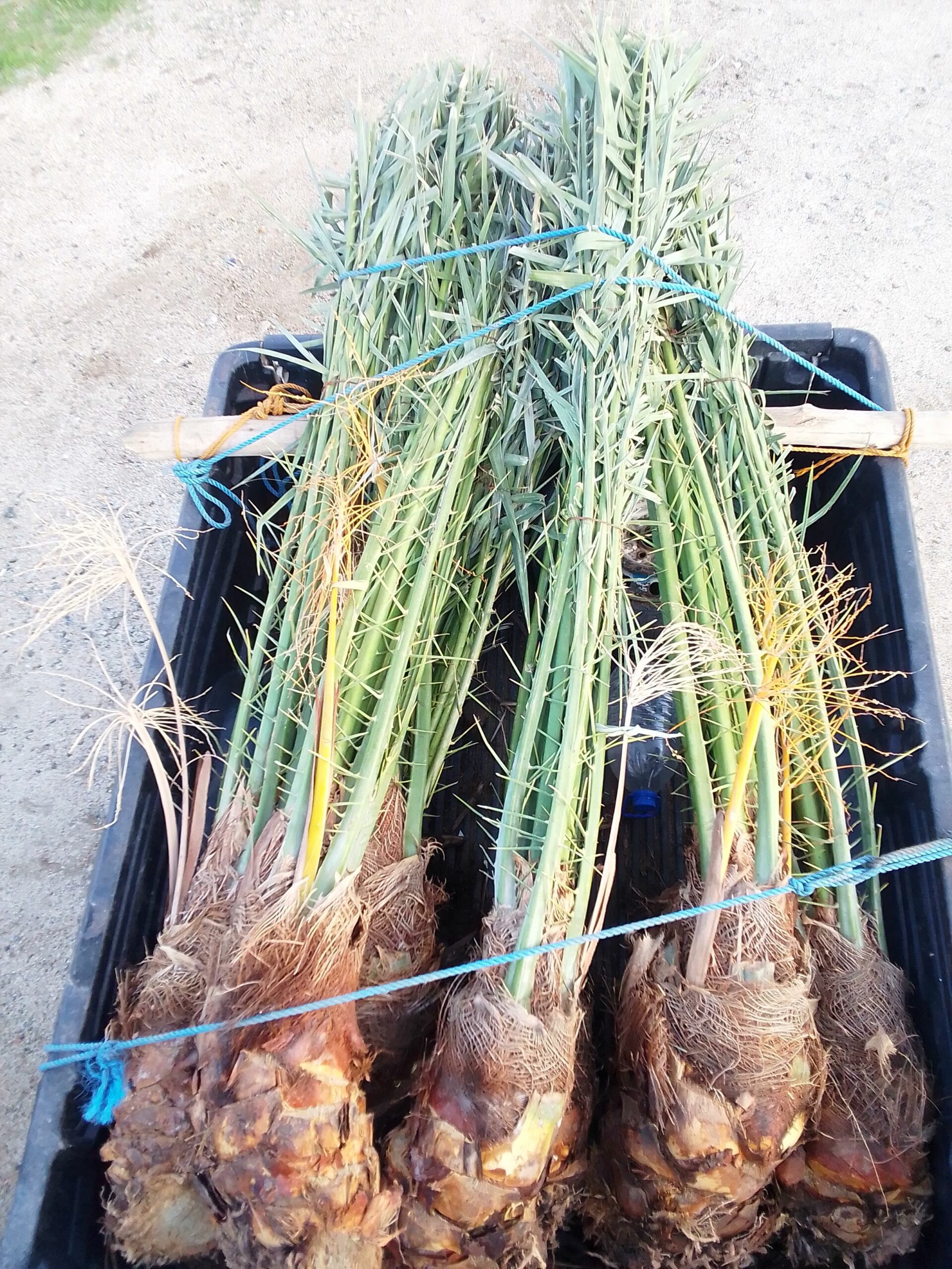 مكه المكرمه