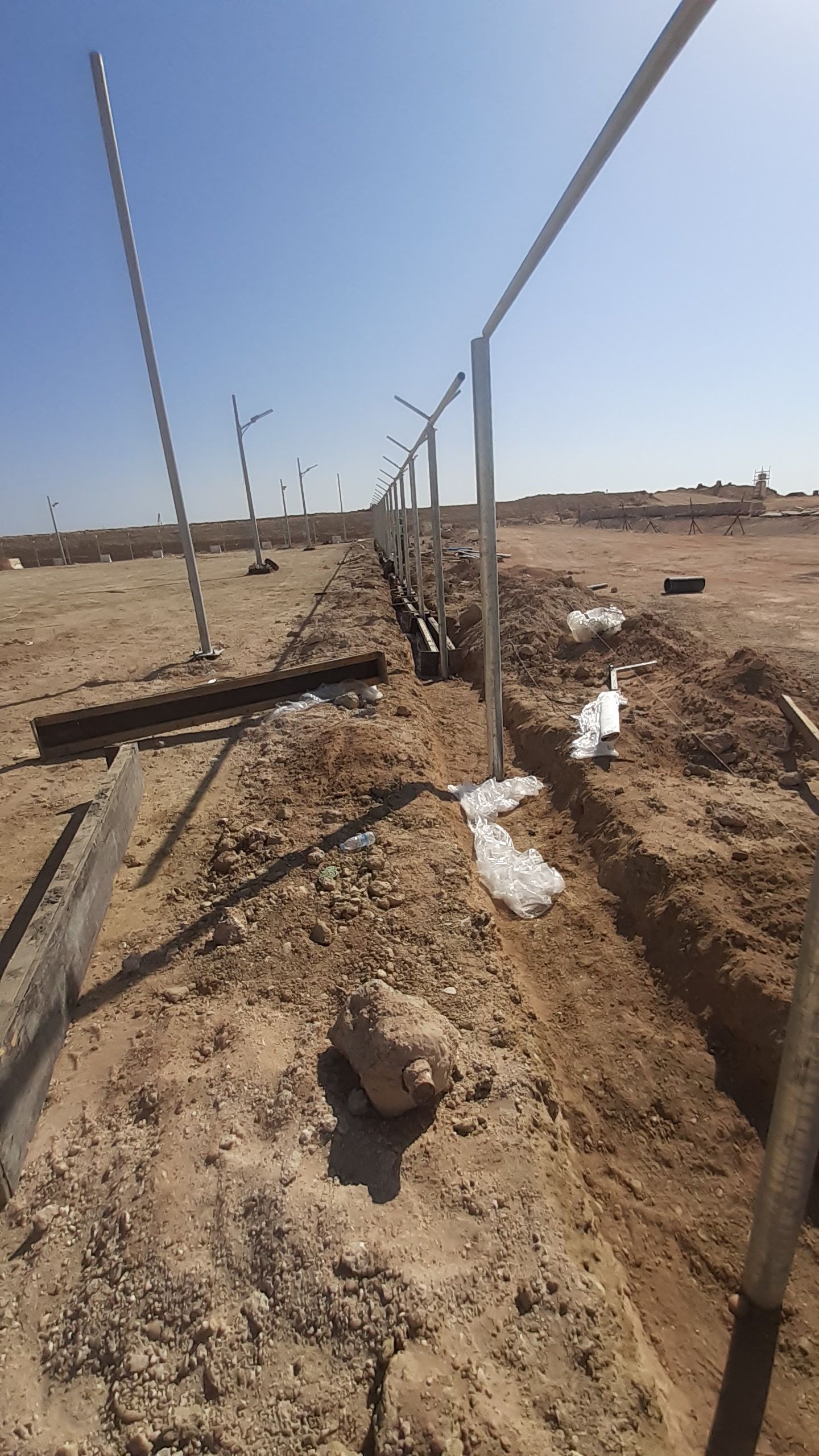 يوجد لدينا نخيل عربي وشنطن ورش مبيد حشرات واعمال الشبوك