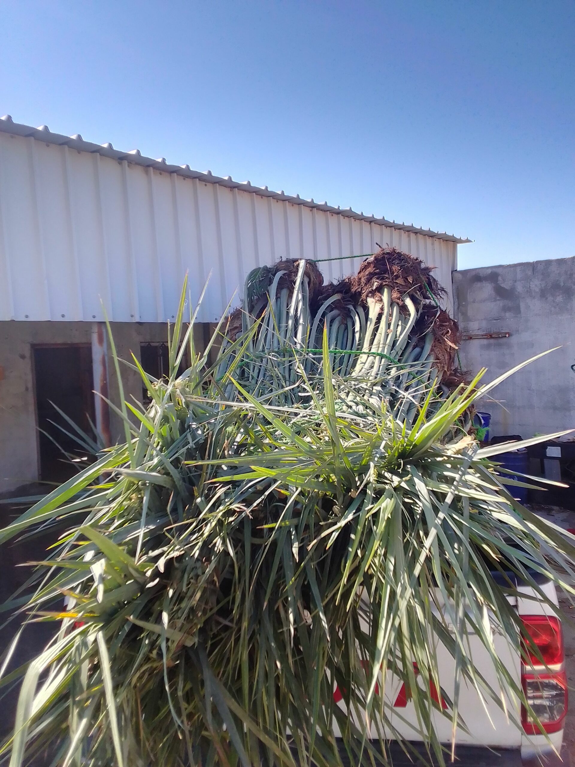 مكه المكرمه