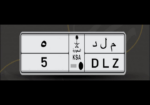 السعوديه
