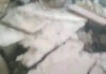 شغل مكولات