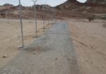 يوجد لدينا نخيل عربي وشنطن ورش مبيد حشرات واعمال الشبوك