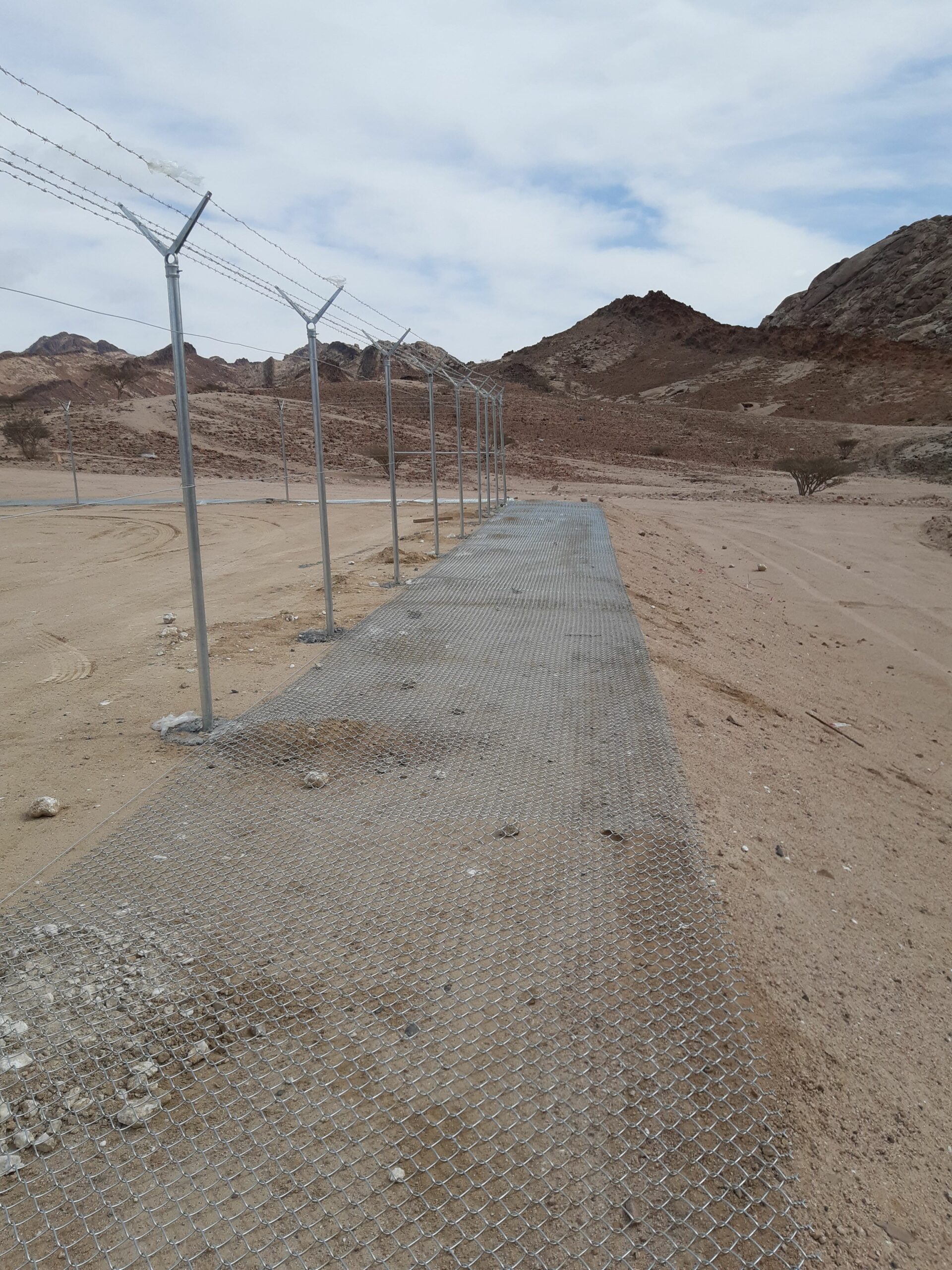 يوجد لدينا نخيل عربي وشنطن ورش مبيد حشرات واعمال الشبوك