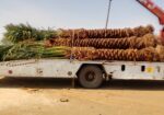 مكه المكرمه