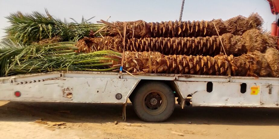 مكه المكرمه