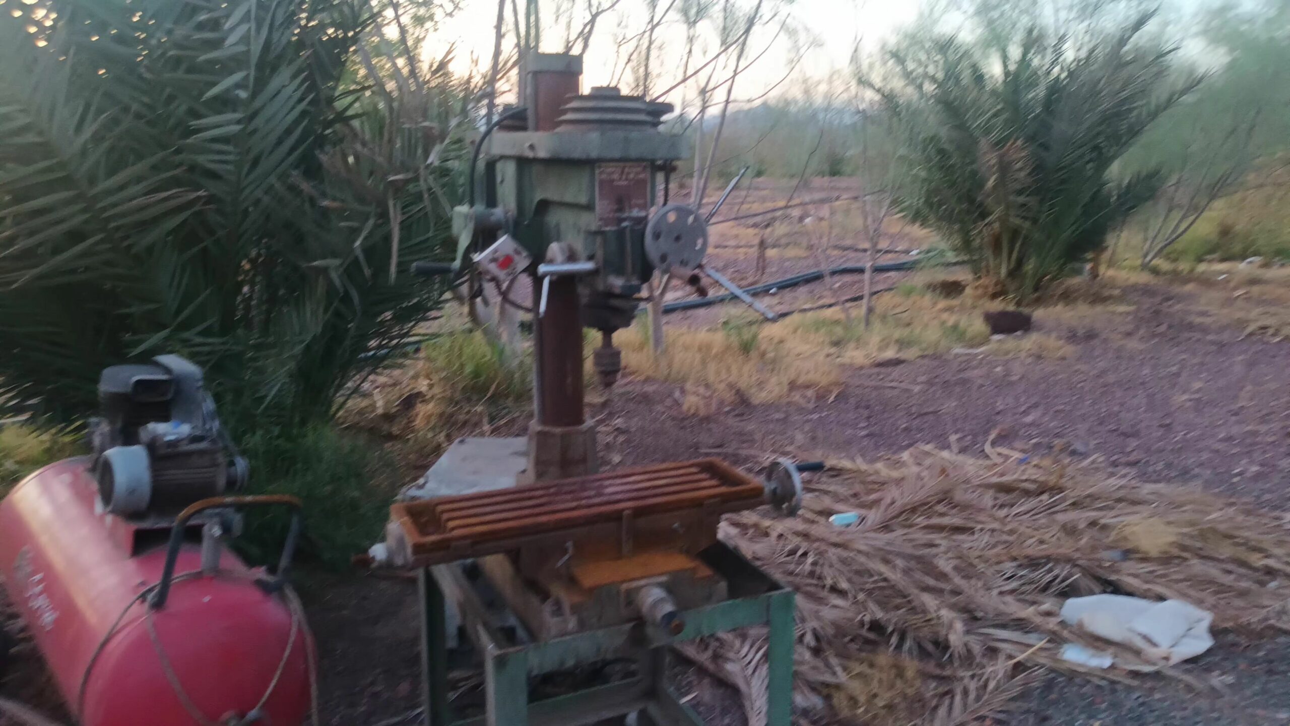 المدينه المنوره