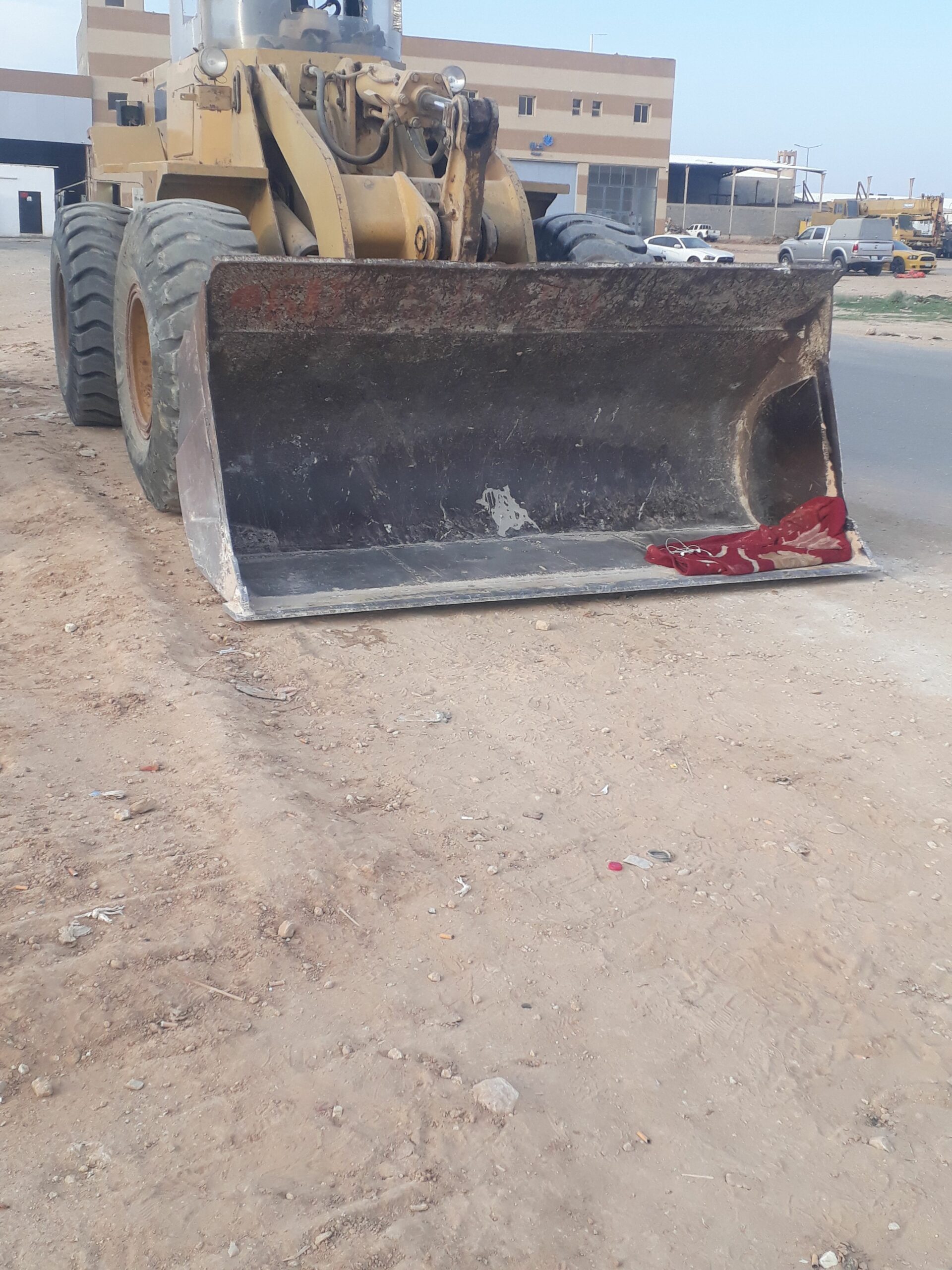 القصيم بريده