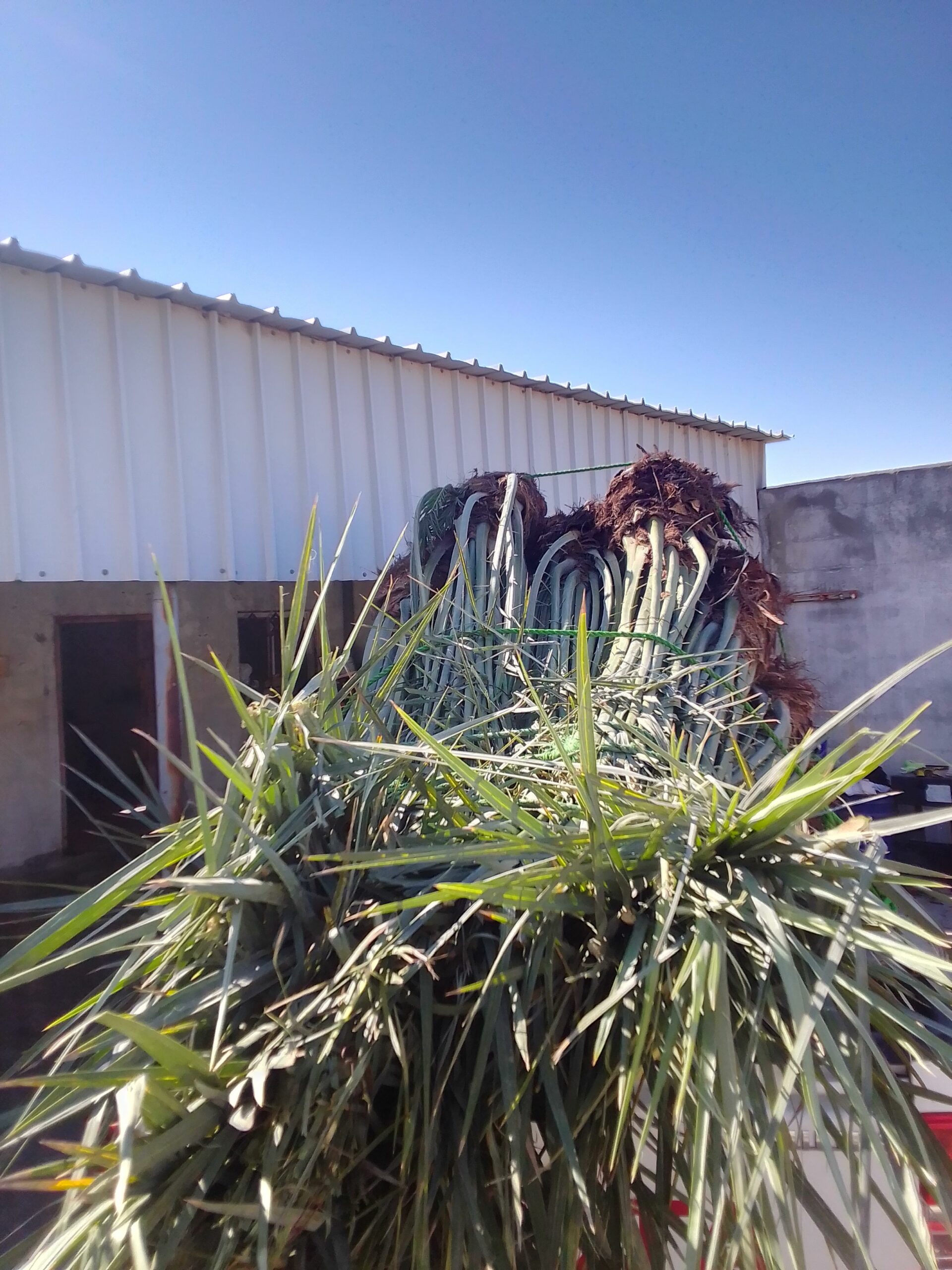 مكه المكرمه