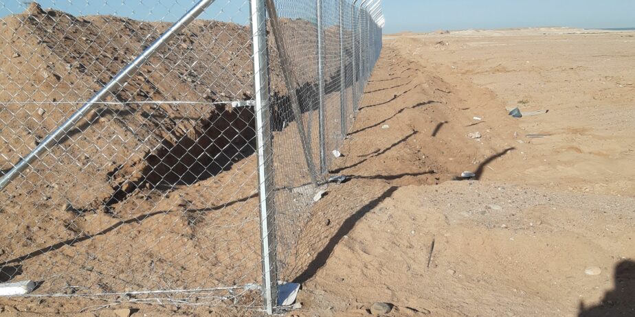 يوجد لدينا نخيل عربي وشنطن ورش مبيد حشرات واعمال الشبوك