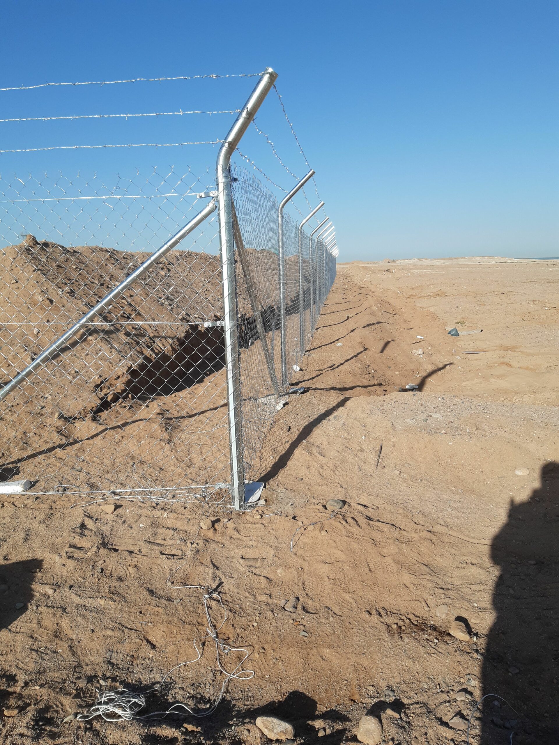 يوجد لدينا نخيل عربي وشنطن ورش مبيد حشرات واعمال الشبوك